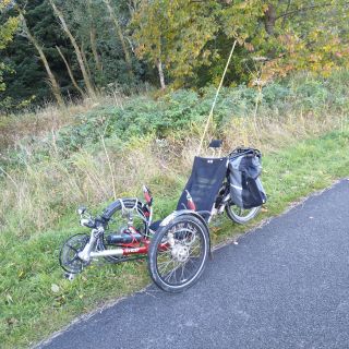 Profile photo for David Mitchell