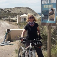 Profile photo for Andrea Milne