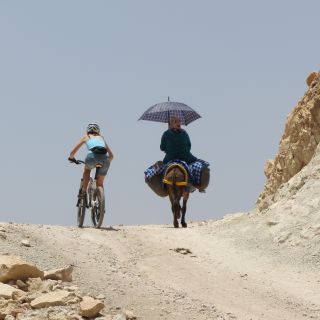 Profile photo for Sally Styles