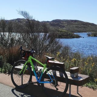 Profile photo for Louise Milwain