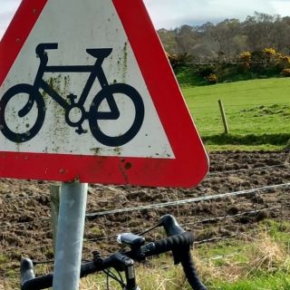 Profile photo for Norna Hall