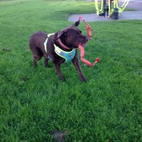 Profile photo for Denise McIntyre 