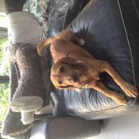 Profile photo for Margaret  Thomas 