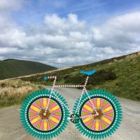 Profile photo for Suzanne Carpenter