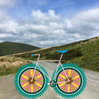 Profile photo for Suzanne Carpenter