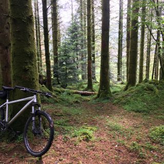 Profile photo for Karis Hodgson