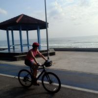 Profile photo for Susan Rawes