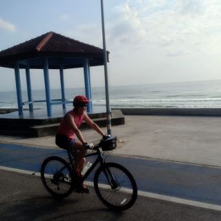 Profile photo for Susan Rawes