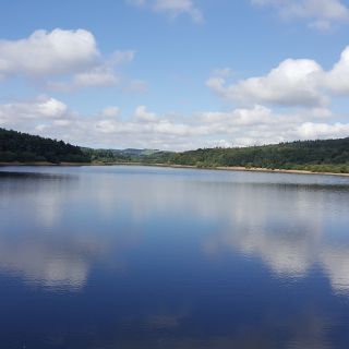 Profile photo for Barbara FF