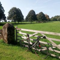 Profile photo for Andreas Karydis