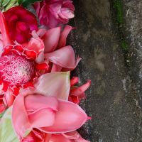 Profile photo for Elaine Ashby