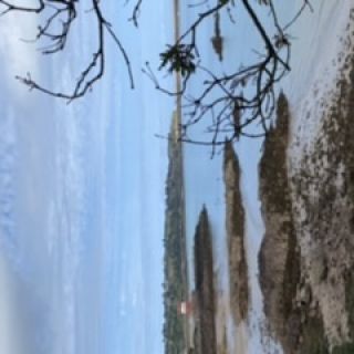 Profile photo for Louise Matthews