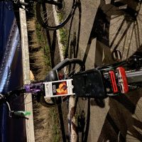 Profile photo for Angela Hoyle