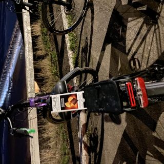 Profile photo for Angela Hoyle