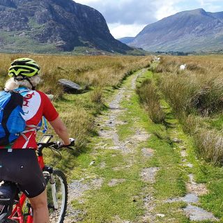 Profile photo for Kathrine  Morris