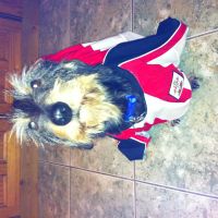 Profile photo for Dan McHugh