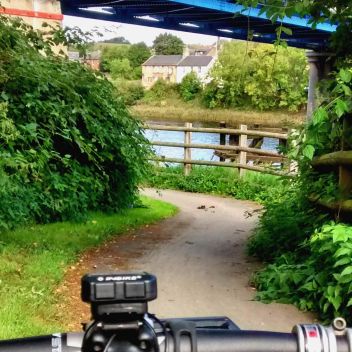 Photo for Tracks and Trails