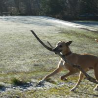 Profile photo for Andi Kewley