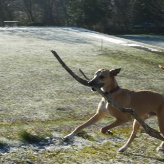 Profile photo for Andi Kewley