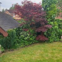 Profile photo for Wendy  Morris 