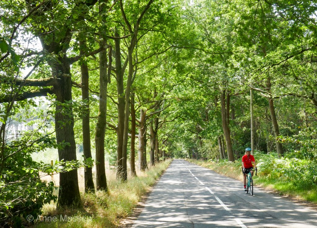 Let's Ride - Meet up with Breeze Cookham in Black Park starting from ...