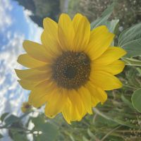 Profile photo for Ella Walker