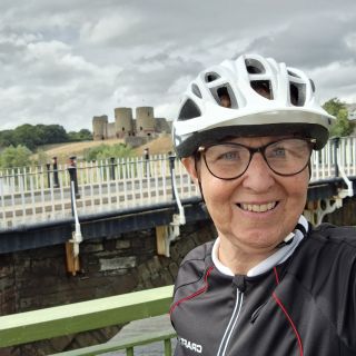 Profile photo for Alison  Lacey 