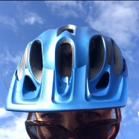 Profile photo for Anne Walker