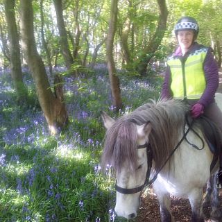 Profile photo for Donna Grant