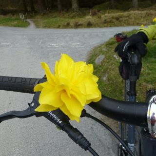 Profile photo for Alexandra Hayward