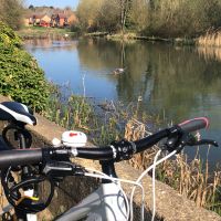 Profile photo for Laura Howard